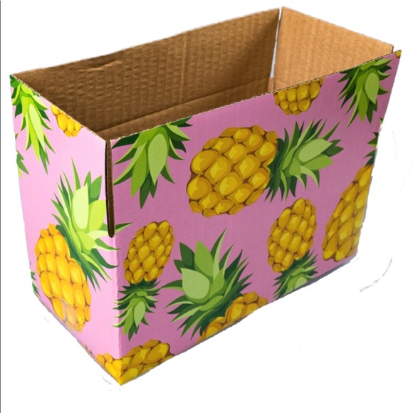 10 (8X4X4) ECO Pineapple Boxes PRICE IS FIRM - Picture 4 of 5